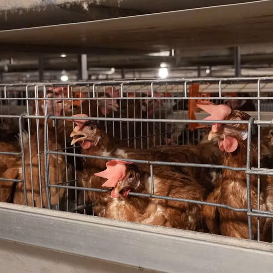 Самый горячий